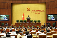 Lawmakers discuss establishing stable institutional framework for urban development